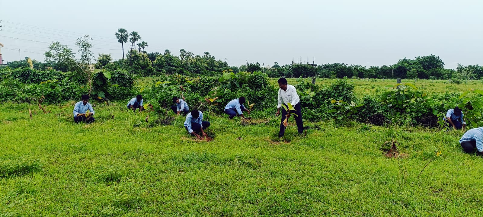 YOUTH RED CROSS and DEPT. OF BOTANY  150 TEAK SAPLINGS PLANTED