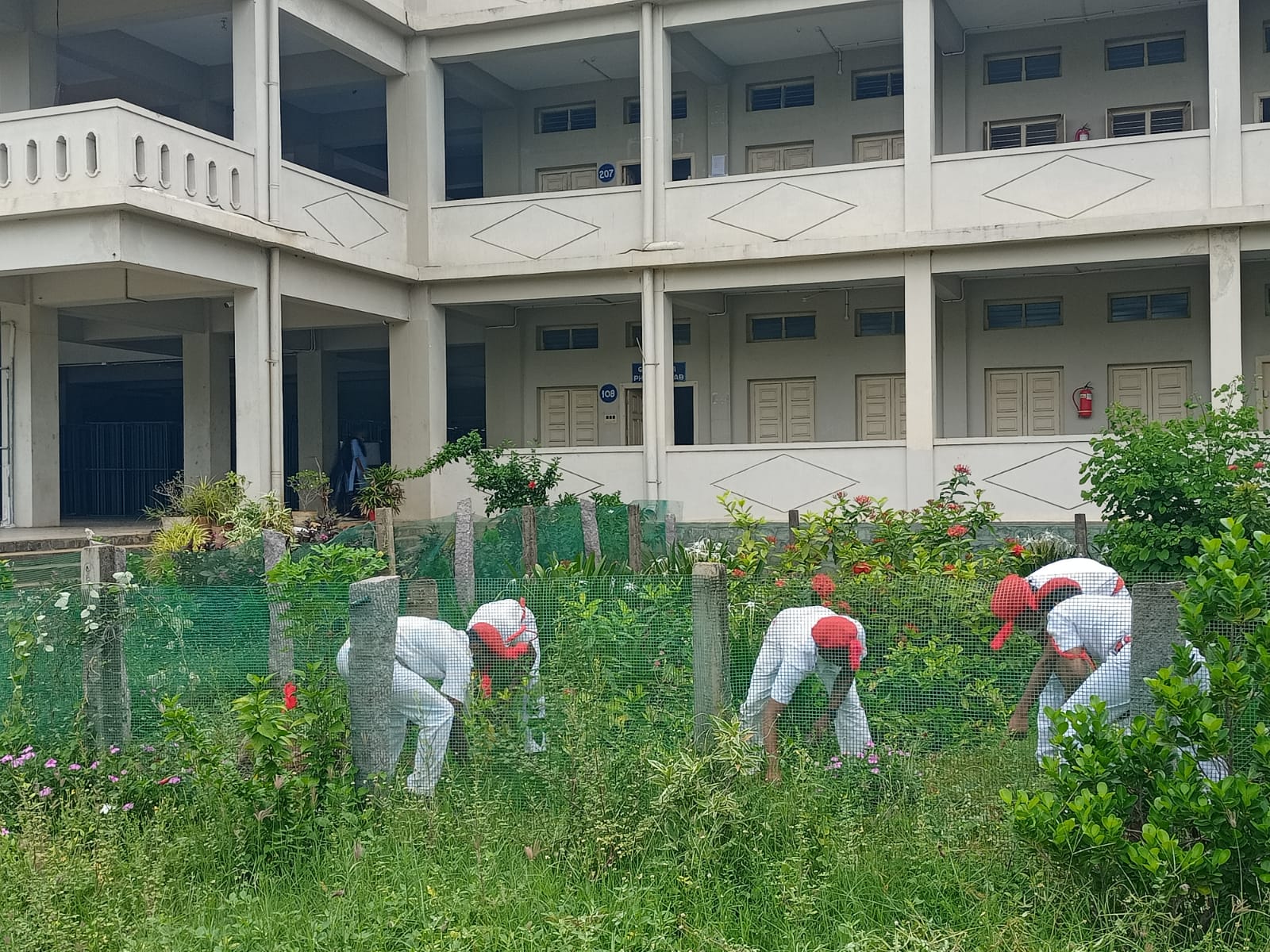 YOUTH RED CROSS VOLUNTEERS WORKING IN COLLEGE BUTTERFLY PARK AND HERBAL GARDEN