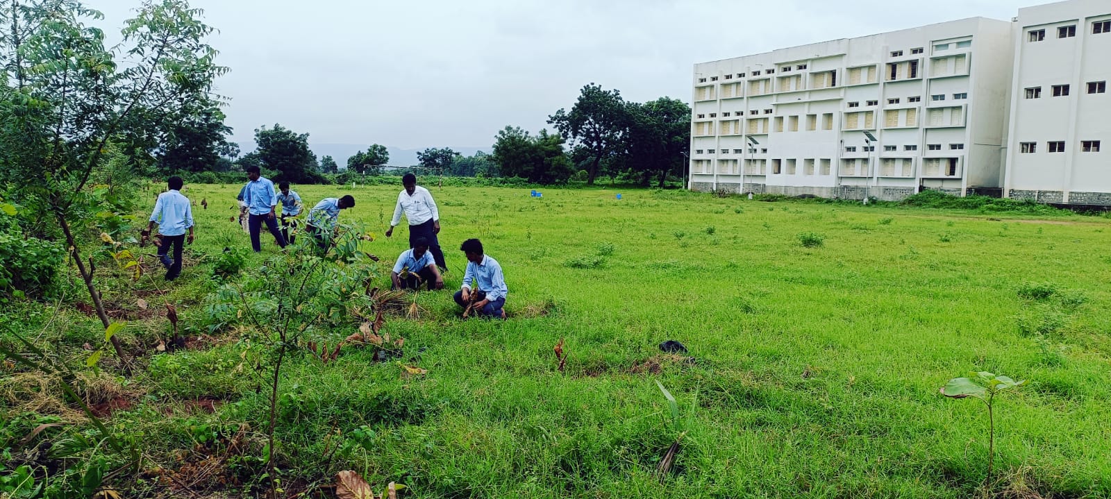 YOUTH RED CROSS and DEPT. OF BOTANY  150 TEAK SAPLINGS PLANTED