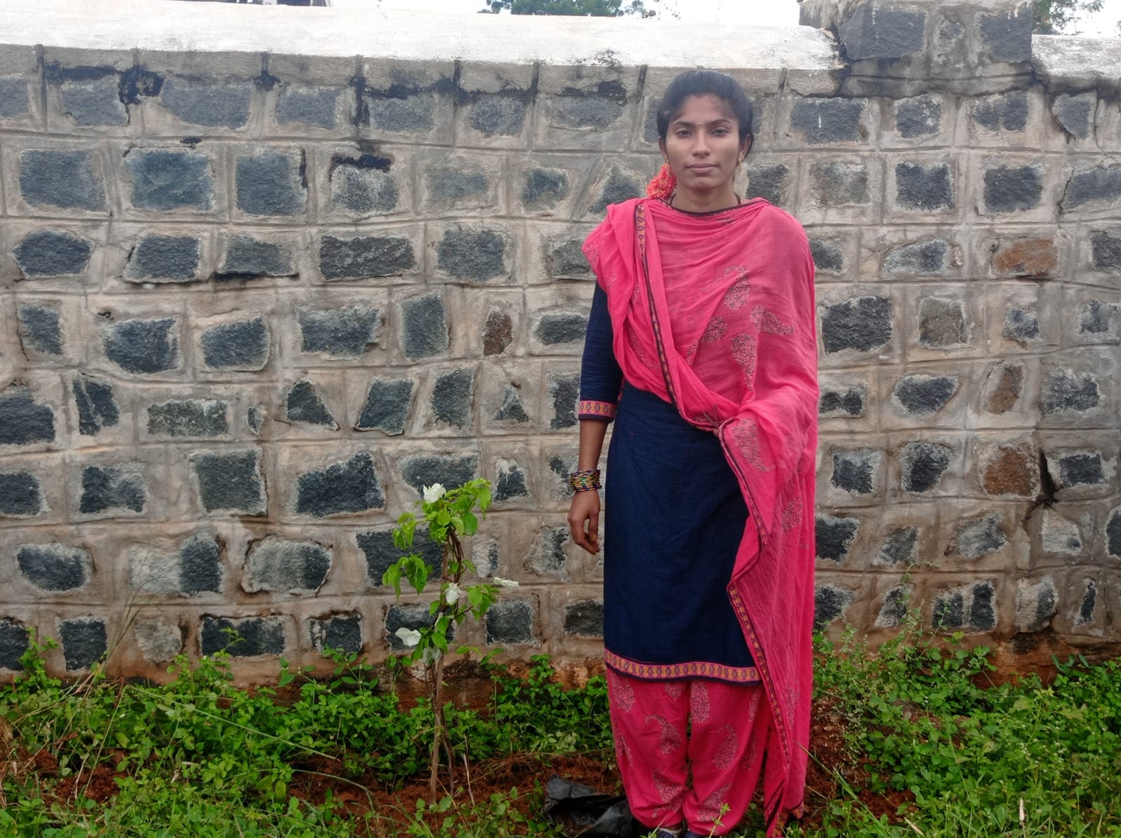 As plantation programme by BOTANY dept