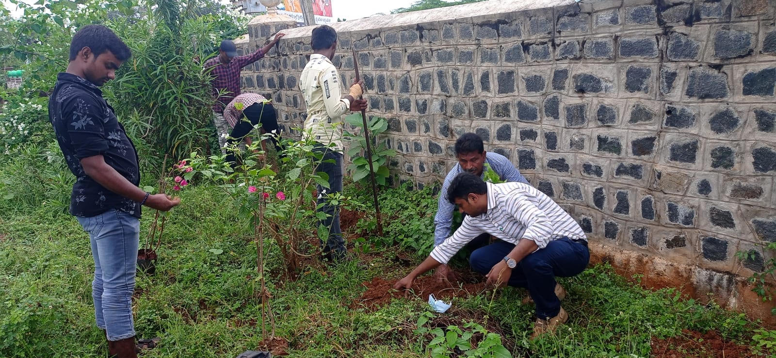 As plantation programme by BOTANY dept