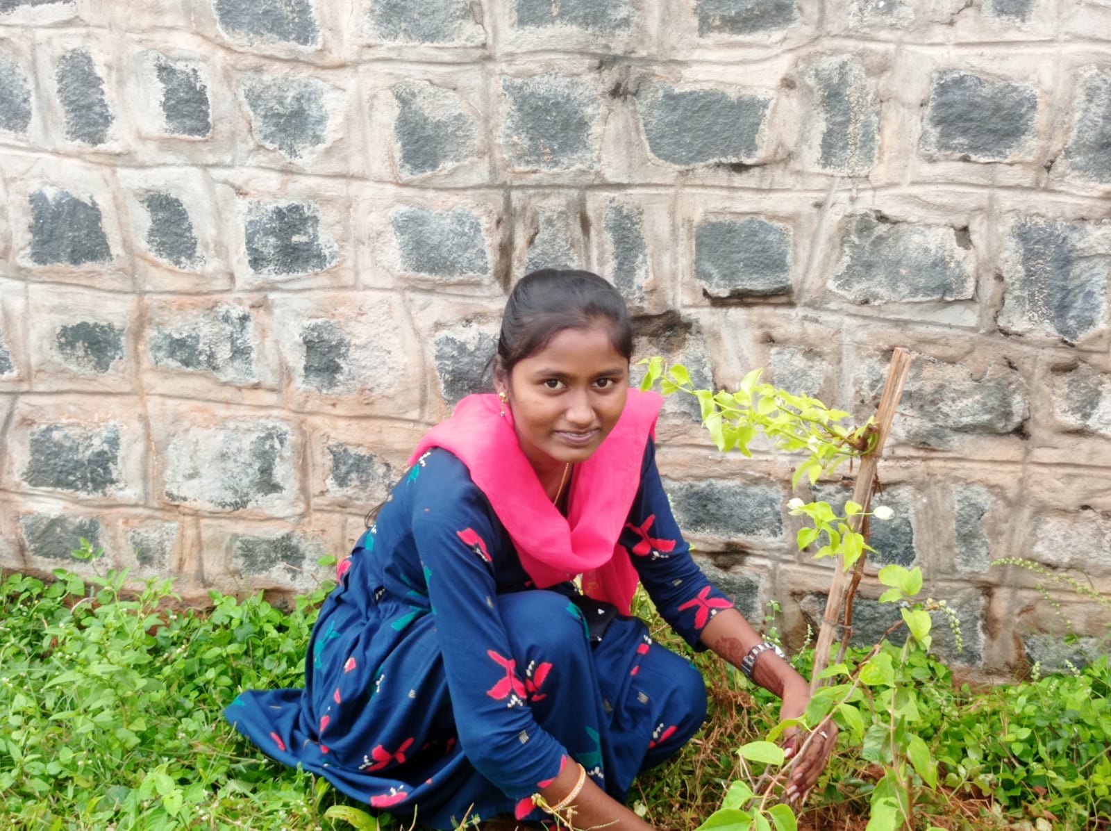 As plantation programme by BOTANY dept