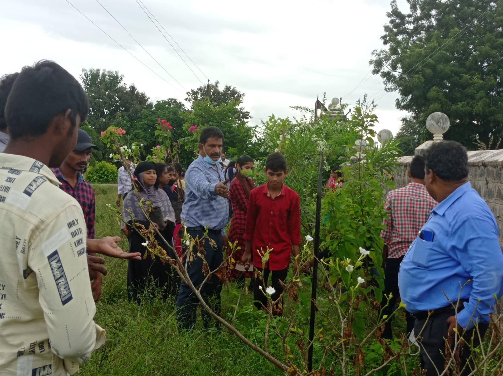 As plantation programme by BOTANY dept